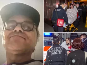 NYPD releases video of deranged man stabbing MoMA employees before fleeing